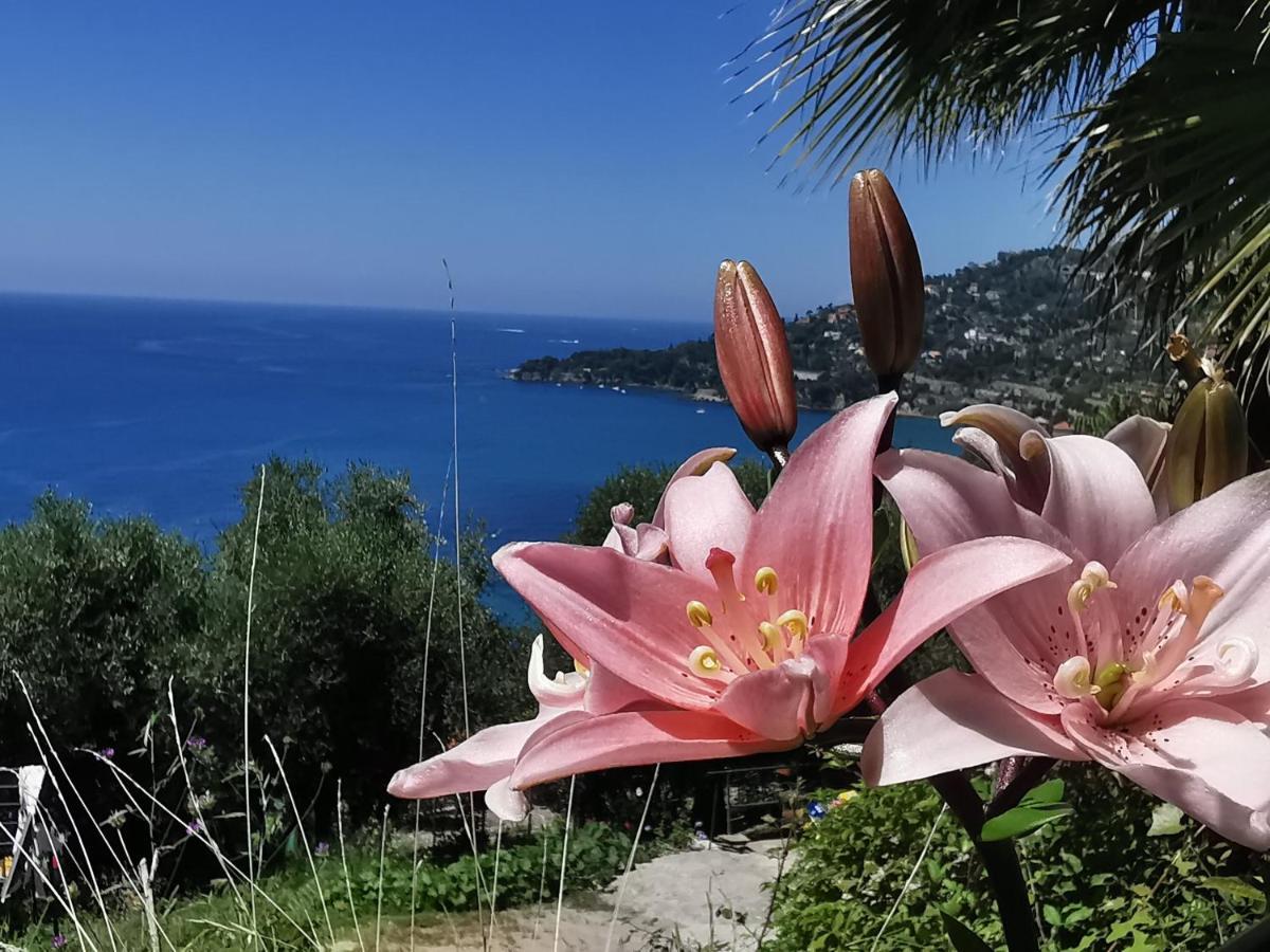 Romantic Casa Lorenzina Affittacamere Вентимилья Экстерьер фото